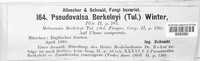 Image of Pseudovalsa berkeleyi